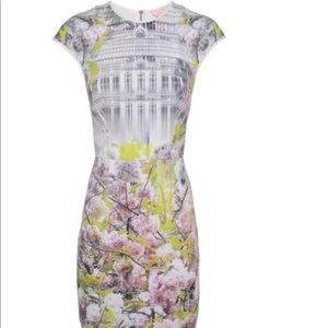 Ted Baker dress